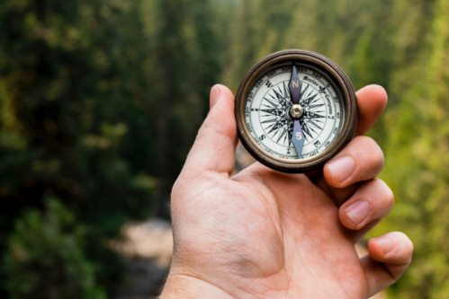 I’m a Business Relationship Manager. Where next?